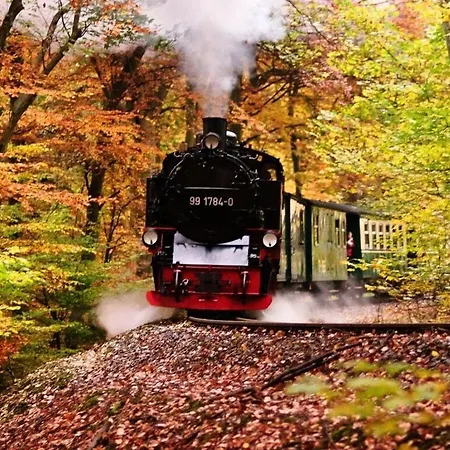 Waldschlosschen 7 * Зеллин